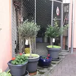 Am Erxleben-hotel Apartman *