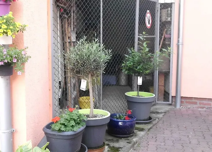 Am Erxleben-hotel Daire *