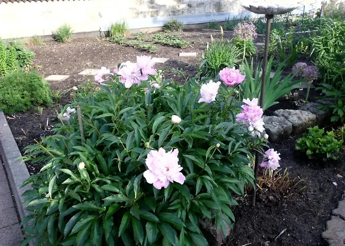 Am Erxleben-hotel Apartman *